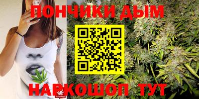 индика Балахна