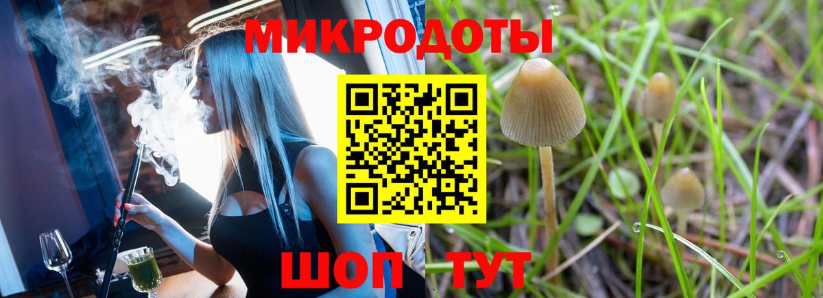 Галлюциногенные грибы Psilocybe Богородск